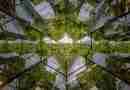 Sustainability in Contemporary Art
