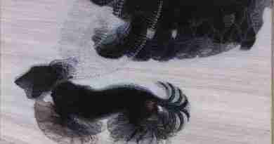Giacomo Balla - Dynamism of a Dog on a Leash