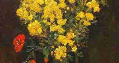 Vincent Van Gogh - Poppy Flowers