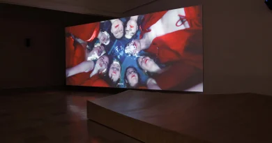 Liquid Tongues installation view, Photo Jacopo Salvi (altomare)/ Zacheta Archive 1