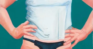 Dildos series - Artist credits