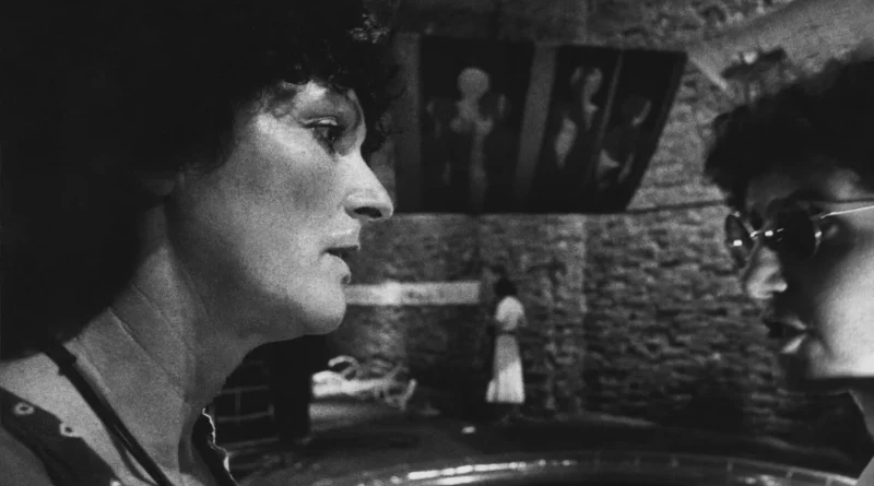 Mariuccia Secol at the Venice Biennale, 1978. Courtesy of Artribune.